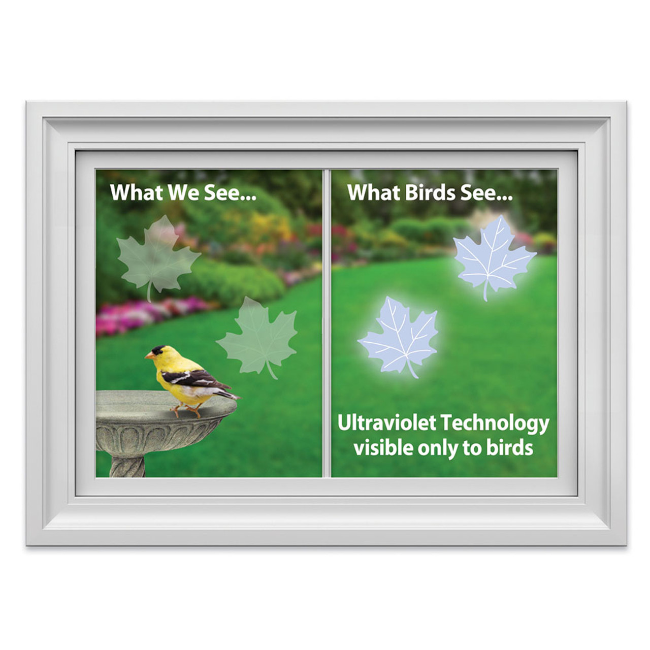 lintutarra ikkunanpesu