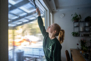 ikkunanpesua vaasassa