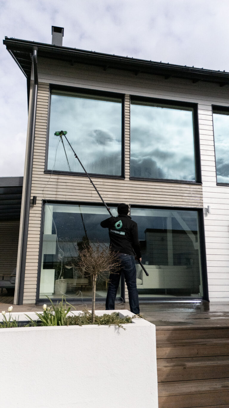 ikkunanpesua kotipesu